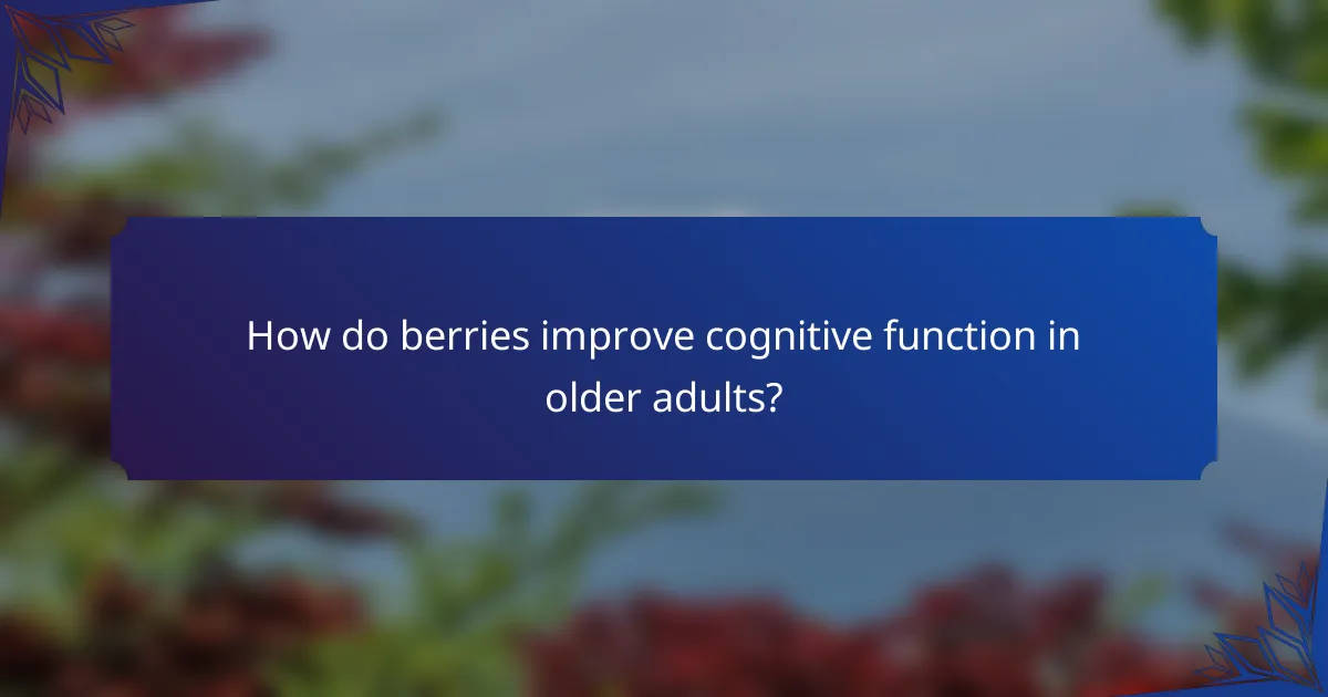 How do berries improve cognitive function in older adults?