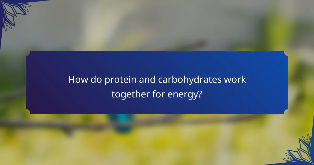 How do protein and carbohydrates work together for energy?